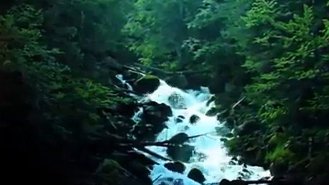 Гарна українська пісня   тече вода ледова!!!!!