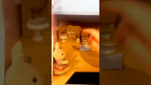 Копия видео 