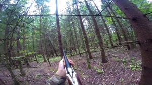 Охота на рябчика. Ружье ТОЗ-34 не подводит.