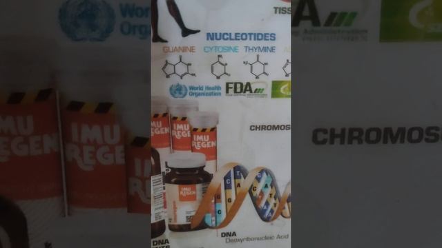 what is  Nucleotides
