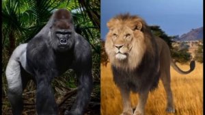 ГОРИЛА ПРОТИВ ЛЬВА ?🤔 Согласны ?