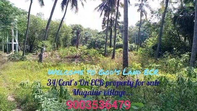 ID:12...34Cents On ECR property for sale Mugaiur village....