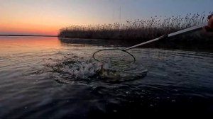 Рыбалка в с. Каралат Астраханской области 7-10 апреля 2024 г