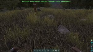 Первая домашняя додошка. ◉ARK: Survival Evolved # 35