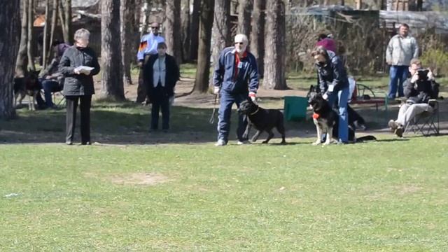 Моншер Вирсаль Елисента 0 смотреть онлайн