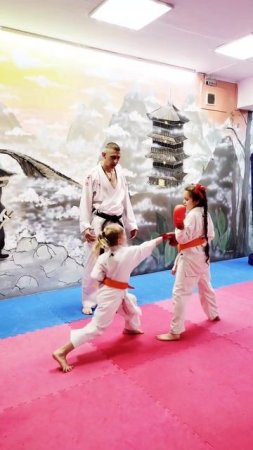 Каратэ Спорт | Подготовка к Соревнованиям по Кумитэ