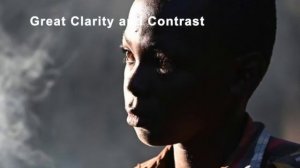 What the Internet Says About Nikon's NIKKOR Z 24-200 mm f4-6.3 VR