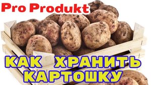 Как хранить картошку всю зиму свежей