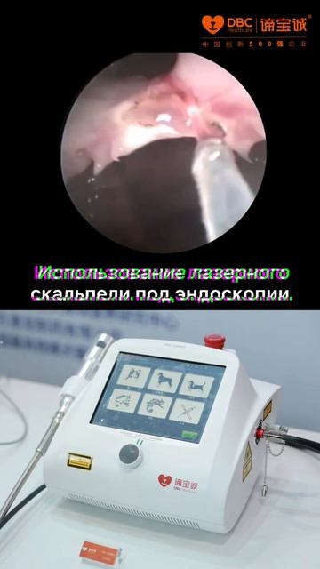 DBC высокоэнергетический интегрированный лазер для терапии и хирургии 2L/4L