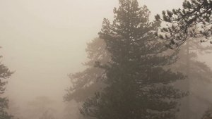 Симеон Афонский. Тайна детства