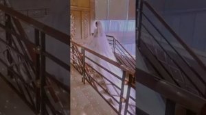 Олег Винник - Невеста