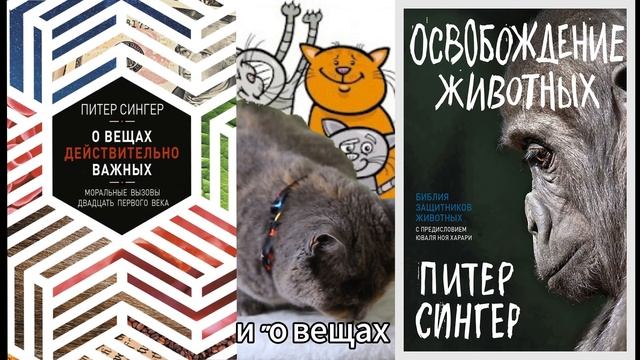 Человеки такие странные