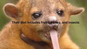 The Most Unusual Pets You Can Own |Petting The Wild