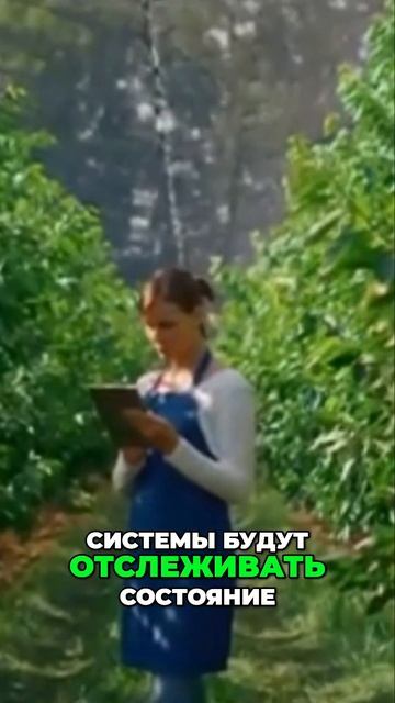 Будущее сельского хозяйства: ИИ и дроны на страже урожая#СельскоеХозяйство #Дроны #Фермерство #Drone
