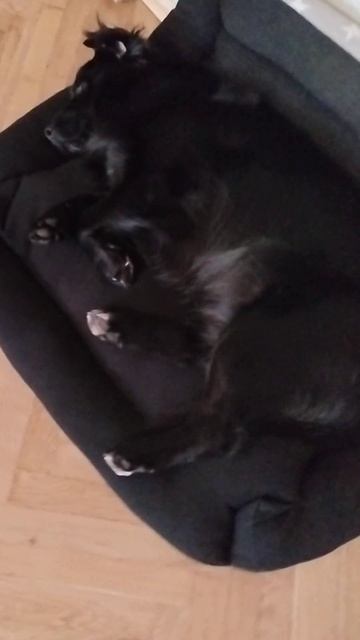 устала,хочет спать смотреть онлайн