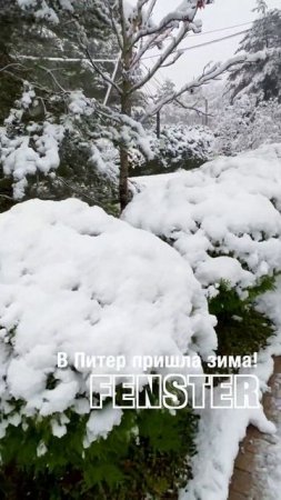 В Питер пришла зима #shorts