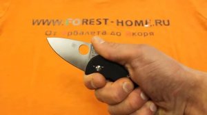 Нож складной Spyderco Ambitious 148GP 8Cr13MoV рукоять G-10
