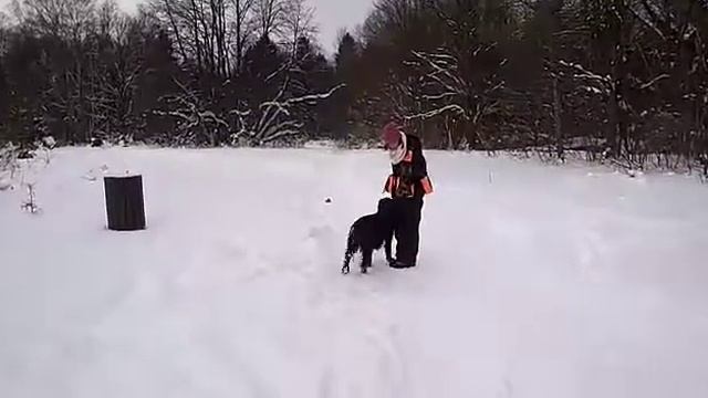 Колесо телеги смотреть онлайн