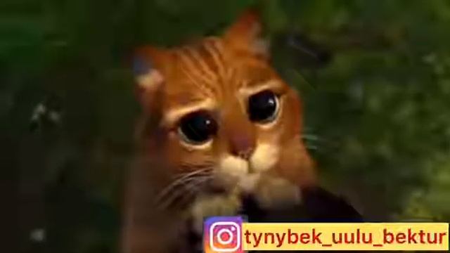 Kyrgyz video смотреть онлайн