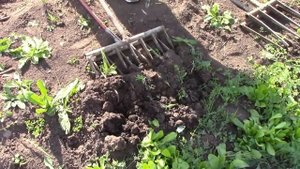 ЧУДО-ЛОПАТА _  Как ЛЕГКО и быстро, без одышки и боли в спине вскопать огород
