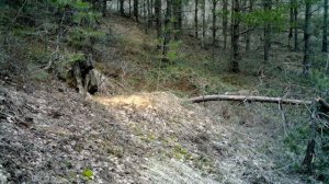 Лис у норы BOLYGUARD SG2060-X