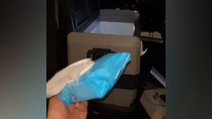 В Сисун Транспортейшн выросли доходы 💲 Рассказываю, как разбогатеть в Америке 🗽