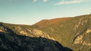 Пророчество старца новомодной заразе