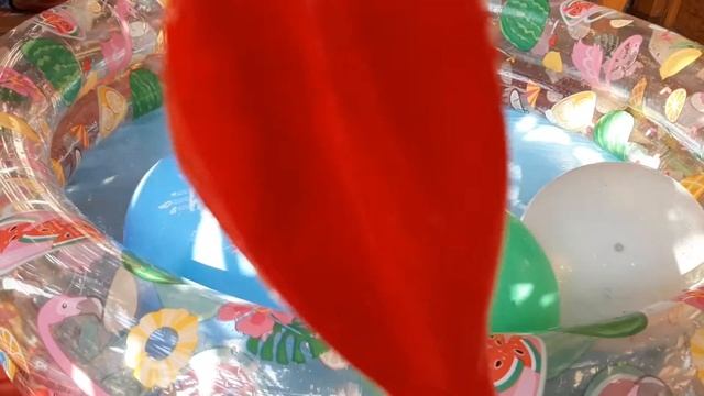 УЧИМ ЦВЕТА И ЦИФРЫ! Цветные шары в бассейне! Учимся считать  от 1 до 5. смотреть онлайн