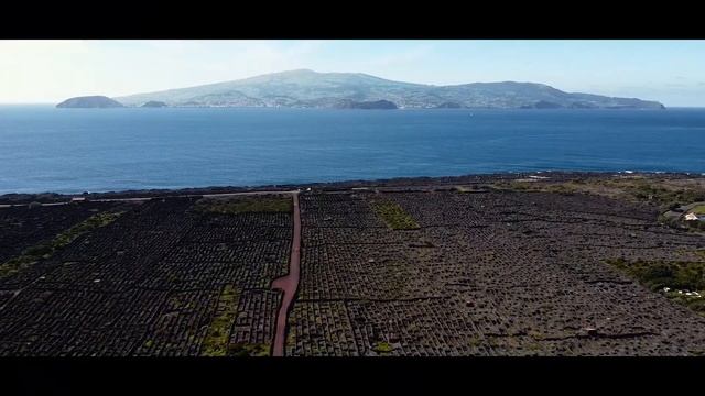 Ilha Do Pico - Azores