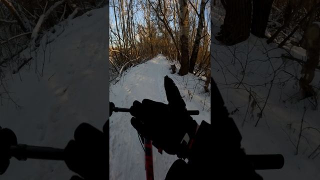 ПРОФДЕФОРМАЦИЯ