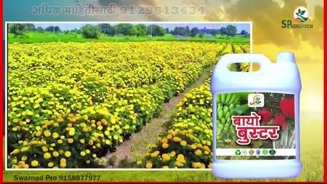 Bio Booster  Sp AGRO TECH