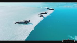 #Islam#Quran#TaHa#ٌMinshawiy#Коран#СурТаХа#СамыеКрасивыеМеста#Relaxation#4кВидео#4часть#