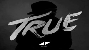 Hey Brother -Avicii-