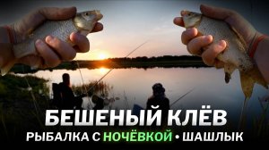 Рыбалка с ночевкой на КАРАСЯ. Дикий клев и много рыбы