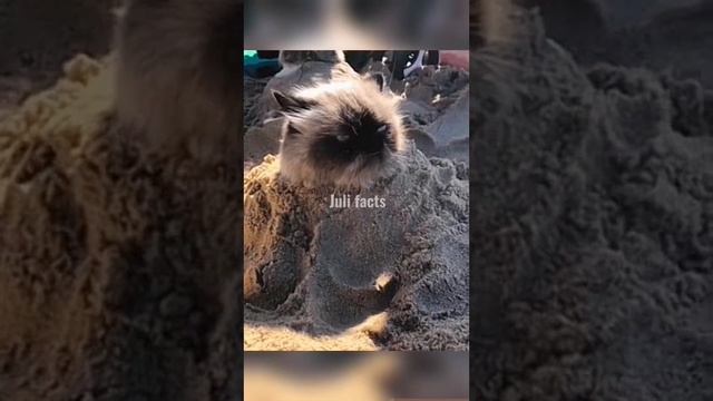 ГЕНИАЛЬНЫЕ ИЗОБРЕТЕНИЯ КОТОРЫЕ ДОЛЖНЫ БЫТЬ ВЕЗДЕ