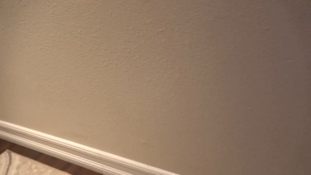 Product Giveaway! 3 Free DaskFire UV Blacklight Flashlights!