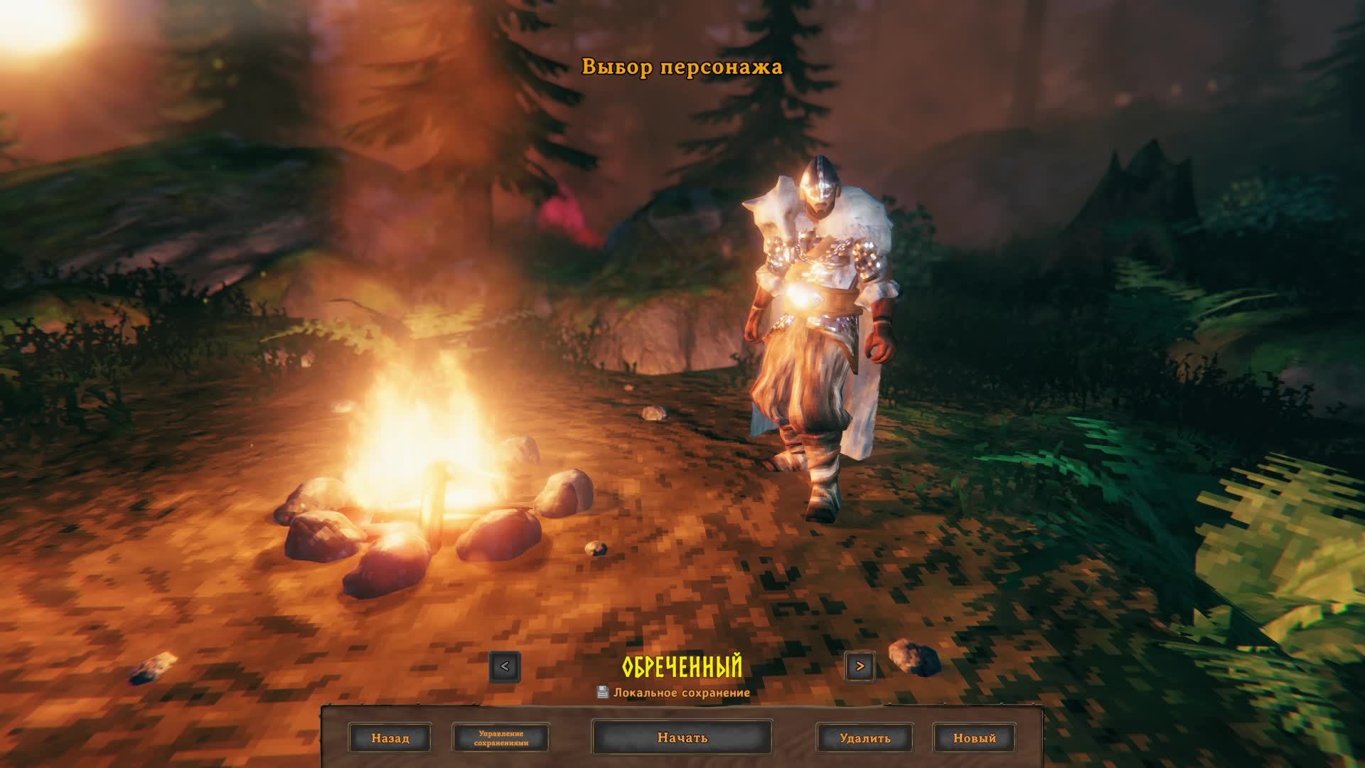 Valheim. Игра на выделенном сервере.