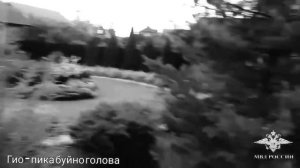 Гио пика буйно голова клип