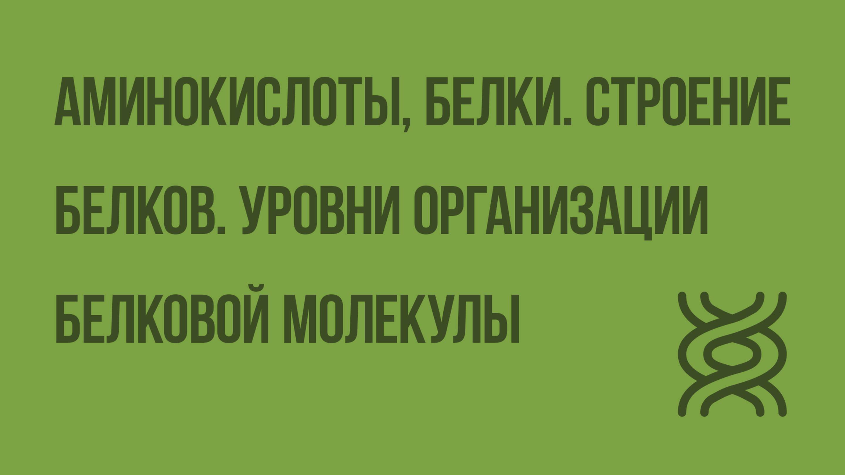 Аминокислоты, белки. Строение белков. Уровни организации белковой молекулы. Видеоурок по биологии