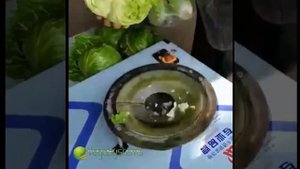 Как быстро удалить кочерыжку капусты, удаление кочерыжки Vega H CHR 3000