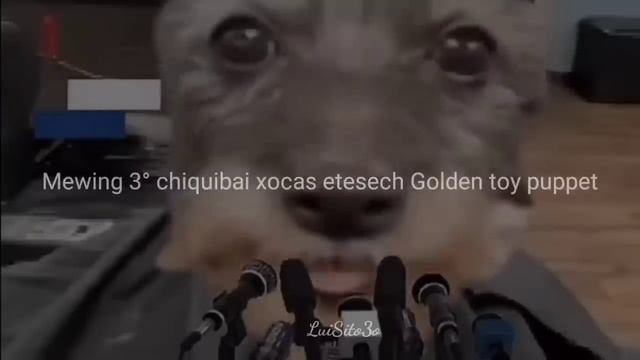 skibidi sigma ponmi || letra смотреть онлайн