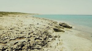 Как незаметно мы сделались взрослыми! (Размышления о детстве)