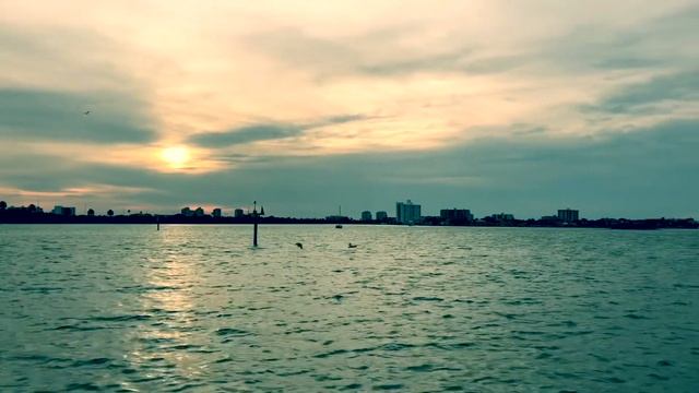 Мотивация. Фильм «Робот по имени Чаппи» смотреть онлайн