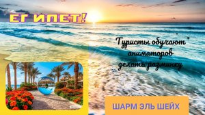 ЕГИПЕТ. Отель Island View Resort. Шарм-Эль-Шейхе