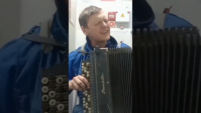 Одна из самым популярных песен Растеряева.. #баян #растеряев #русскаядорога
