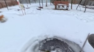 Опускаю камеру зимой в пруд. Январь 2025
