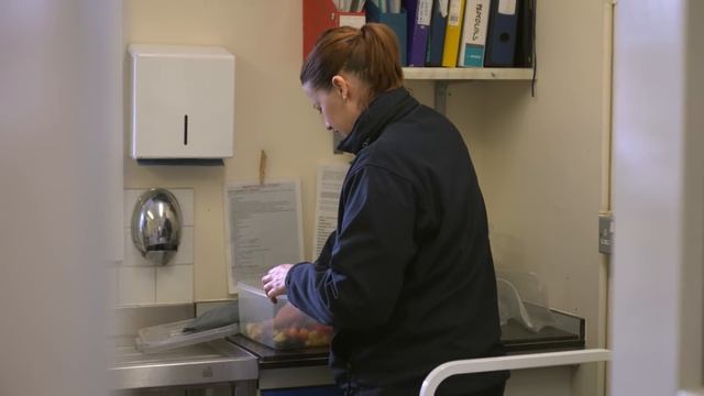 92 guinea pigs cared for by one animal rescue centre! The Guinea Pigs' Story смотреть онлайн