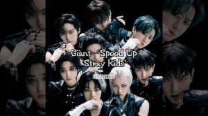 stray kids «GIANT» speed up
