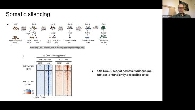 Epigenetic Reprogramming for Rejuvenation - Mechanisms and Pathways - Part 2: Reprogramming Events
