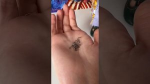 Как проколоть уши кукле Паола Рейна. Какие сережки взять для куклы. Какие инструменты понадобятся.